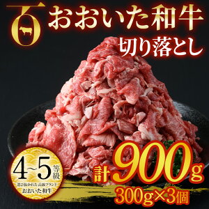yӂ邳Ɣ[Łza ؂藎Ƃ (v900gE300g×3) Y 4 Ⓚ a   啪 syDP76zy ()܂ЂŁz