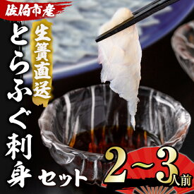 【ふるさと納税】＜着日指定必須＞生簀直送 とらふぐ 刺身 セット (2-3人前) 魚 鮮魚 ふぐ 河豚 刺し身 刺身 さしみ ポン酢 ネギ もみじおろし 冷蔵 佐伯 養殖 大分県 佐伯市【EA12】【(株)トーワ】