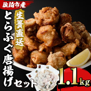 yӂ邳Ɣ[ŁzƂӂ g Zbg (v1.1kgEԂ؂500g×1P gp300g×2P q10g)  ӂ ͓ 炠 g Ⓚ Œ  {B Y 啪 syEA18zy()g[