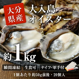 【ふるさと納税】大入島 バージン オイスター 牡蠣 約1kg (1個約50g前後・20個入) 生食可 冷凍 真牡蠣 かき 貝 かい 酒蒸し 焼き牡蠣 パスタ 国産 一口サイズ ご当地 お取り寄せ グルメ 大分県 佐伯市【ED06】【(合)新栄丸】