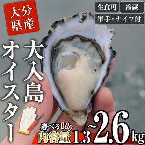 yӂ邳Ɣ[ŁzeʂIׂ遄 ^KL ICX^[ (1.3kgE2.6kg) y  JL L CN  ① H VOV[h {B kt yED08EED09zy()Vhہz