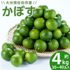 yӂ邳Ɣ[Łz ڂ 4kg ( Ȃ ) t[c ʕ k 햳 ̉w悢 啪 syEN13zỷw悢z