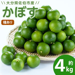 yӂ邳Ɣ[Łz ڂ 4kg ( 킠 ) t[c ʕ k ̉w悢 Ԍ 啪 syEN15zỷw悢z