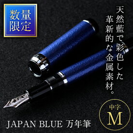 【ふるさと納税】JAPAN BLUE 万年筆 (中字・M)【EQ011】【Oita Made (株)】