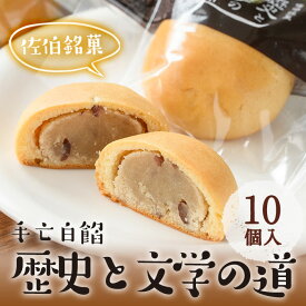 【ふるさと納税】歴史と文学の道 (計10個) 小豆 スイーツ スウィーツ 菓子 焼き菓子 和菓子 おやつ 詰め合わせ セット 個装 大分県 佐伯市【ER009】【(株)古川製菓】