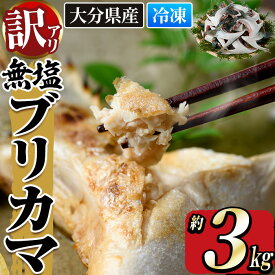 【ふるさと納税】＜訳あり＞ 無塩 ブリカマ (約3kg)大分県産 国産 ぶりかま ブリ ぶり 鰤 養殖ブリ 煮つけ 鰤かま カマ焼き 冷凍 大分県 佐伯市【ET002】【三宅水産】