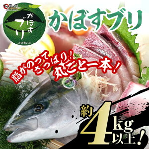 yӂ邳Ɣ[Łzyg您͂zĐÎYڂu(4kgȏ)܂邲ƈ{ Ԍ u N hg hg   Ԃ ϕt 啪 syEW065zyUpz