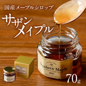 yӂ邳Ɣ[Łz[vVbv TUCv Southern Maple (70g×1) Y 啪Y Vbv JGf t  啪 syEZ01zymaplexplorersz