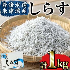 【ふるさと納税】豊後水道 米水津産 しらす (計1kg・500g×2P) 魚 小魚 魚介類 シラス おつまみ カルシウム 大分県 佐伯市 【FA01】【(有)中宮商店】