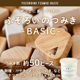 【ふるさと納税】ふぞろいのつみき BASIC (約50ピース) おもちゃ 積み木 玩具 知育玩具 木製 けやき ひのき さくら 大分県 佐伯市 【FD02】【 (福)希望の森 太陽農園】