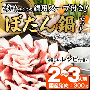 yӂ邳Ɣ[ŁzڂZbg (2-3lOEVR300g+XX[v500cc)     WrG WrG X Ⓚ 啪 s yFJ06zyRIm ()z