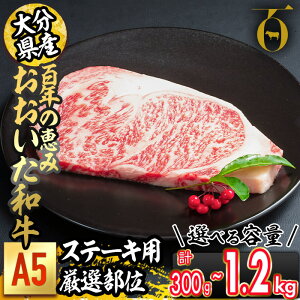 yӂ邳Ɣ[ŁzeʂIׂ遄SŇb a A5 Xe[Lp ؂ I (v300gEv600gEv1.2kg) Y   ~ [X [X T[C a uh Xe