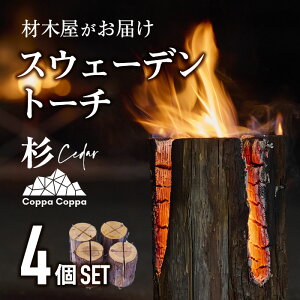 yӂ邳Ɣ[Łzޖ؉͂ XEF[fg[`  (4Zbg)  VR ΍ ̗tt Lv LvObY Lvpi AEghA lC  BBQ o[xL[ 啪 