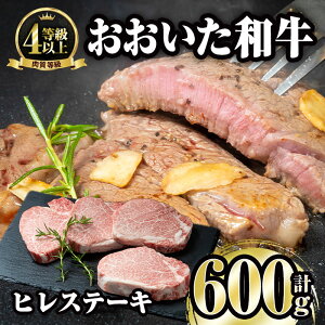 yӂ邳Ɣ[Łza q Xe[L(v600gEq150g×4)Xe[L Y 4 Ⓚ a  啪 syFW004zy()~[gNXgz