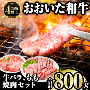 yӂ邳Ɣ[Łza o  ē Zbg (v800gEo400g+400g) Y   ~ A4 a uh Ⓚ BBQ 啪 s yFW005zy ()~[gNXgz