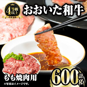 yӂ邳Ɣ[Łza ēp (600g) Y   ~ A4 a ē uh Ⓚ BBQ 啪 s yFW007zy ()~[gNXgz