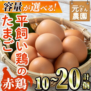 yӂ邳Ɣ[ŁzeʂIׂ遄 Ԍ{̂܂ (v10Ev20) _  ʎq  ʎqĂ  { { {{꒼ ̂ VN  yGE002EGE001zy ()C
