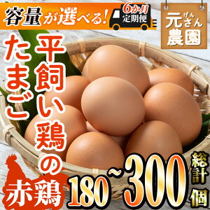 yӂ邳Ɣ[ŁzeʂIׂ遄 Ԍ{̂܂ (v180Ev300/6A)  _  ʎq  ʎqĂ  { { {{꒼ ̂ VN yGE005EG