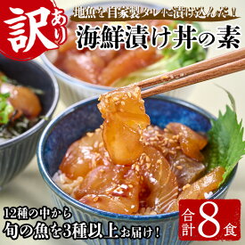 【ふるさと納税】＜訳あり＞地魚海鮮漬け丼の素 (計8食) アジ サバ マグロ カツオ タイ イカ ブリ カワハギ メジナ イサキ カンパチ ヒラメ 鮮魚 漬け丼 詰め合わせ 食べ比べ 冷凍 国産 大分県 佐伯市【GO013】【(株)水元】