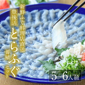 yӂ邳Ɣ[ŁzwK{VNӂX uL㊈Ƃӂ hgZbg {B5-6lOvƂӂ ӂ tO ӂh tOh ӂhg tOhg hg N ① Y 啪 