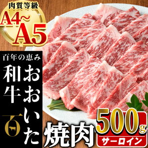 yӂ邳Ɣ[Łza T[C ē (v500g) Y   ~ A4 A5 јa a L㋍ uh ⓀyHE04zy()gz