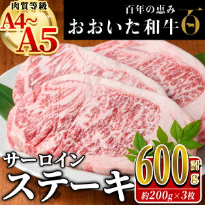 yӂ邳Ɣ[Łza T[C Xe[L (v600gE200g×3) Y   ~ A4 A5 јa a L㋍ uh ⓀyHE06zy()gz