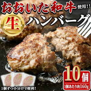 yӂ邳Ɣ[Łza  no[O (v1.6kgE160g×10)   no[O y  јa a uh ⓀyHE08zy()gz