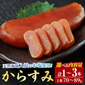 【ふるさと納税】＜内容量が選べる！＞ 国産 からすみ (1本〜3本) カラスミ ボラ 珍味 魚卵 冷凍 おつまみ 大分県 佐伯市【HX001・HX002】【山田水産(株)】