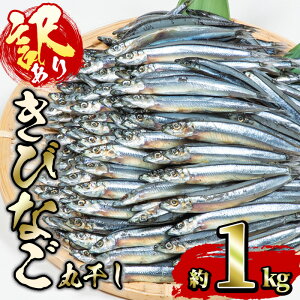 yӂ邳Ɣ[Łz󂠂EƖpтȂ̊ۊ (v1kg)  Ђ g tC VՂ Ă ٓ  ̂܂ 啪 s yGH001zyPYXz