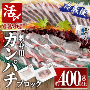 yӂ邳Ɣ[ŁzJp` hgp ubN ①(400-500gE4-5lO) Jp` ς _o lꂽ N ubN hg ① C̒ 啪 syAS132zyC ()z