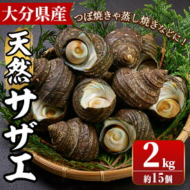 【ふるさと納税】 天然 サザエ (計約2kg・15個) 魚介 貝 さざえ 栄螺 酒蒸し 網焼き バター焼き バーベキュー 獲れたて 冷蔵 大分県 佐伯市【BT61】【大分県漁業協同組合】