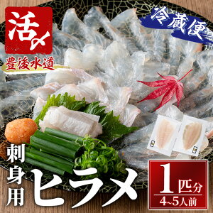 yӂ邳Ɣ[Łzq hgp ubN ①(1CE4-5lO) q Ђ  _o lꂽ N ubN hg ① C̒ 啪 syAS135zyCׁz