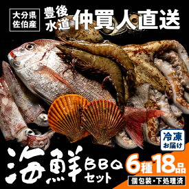 【ふるさと納税】海鮮 BBQ セット (6種・18品) 魚 天然 赤足エビ アカアシ エビ 緋扇貝 ヒオウギ サザエ 鯛 タイ イカ タコ 下処理 済み 高級 豊後水道 個包装 冷凍 大分県 佐伯市 【FZ008】【波平食堂】
