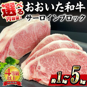 yӂ邳Ɣ[ŁzeʂIׂ遄 a T[C ubN (1kgE2kgE5kg) Xe[L T[C ē o[xL[ Ă   a uh  Y YXe[L A4 