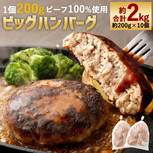 yӂ邳Ɣ[Łzǂǁ[2kgIX̃rbOno[O v2kg 200g×10 1200g r[t100 100 p no[O  y Ă Hi Ⓚ 
