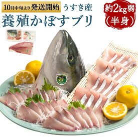 【ふるさと納税】養殖 かぼすブリ 半身 約2kg弱（半身） アラ カマ かぼす カボス ブリ ぶり 鰤 魚介類 魚貝類 魚 冷蔵発送 真空パック 旬 臼杵産 九州産 国産 送料無料