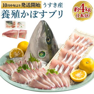 yӂ邳Ɣ[Łz{B ڂu 4kg`4.5kg 1{ 3낵 A J} ڂ J{X u Ԃ   L  ① ^pbN { PnY BY Y 