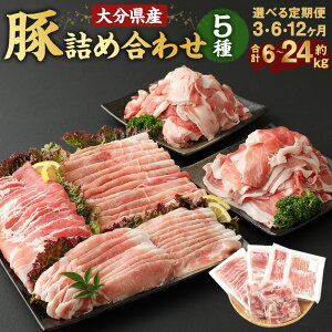 yӂ邳Ɣ[ŁzIׂցy3E6E12ցzŕ֗ 啪Y ؋lߍ킹 5 v6kg / 12kg / 24kg ؓ   Zbg ؂ XCX [X ΂ 