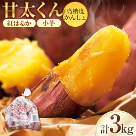 【ふるさと納税】【先行予約】めっちゃ甘い！高糖度かんしょ「甘太くん」 （500g×6袋）計3kg　さつまいも　紅はるか べにはるか サイズ：S～3S サツマイモ さつま芋 小芋 野菜 焼き芋 スイーツ おやつ 食品 大分県産 国産 九州 大分県 臼杵市 送料無料