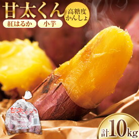 【ふるさと納税】【先行予約】めっちゃ甘い！高糖度かんしょ「甘太くん」 （500g×20袋）計10kg　さつまいも　紅はるか | べにはるか サツマイモ さつま芋 小芋 野菜 焼き芋 スイーツ おやつ 大分県産 国産 九州 大分県 臼杵市 送料無料