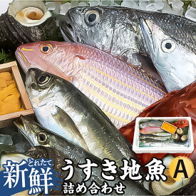 【ふるさと納税】豊後水道 うすき 地魚 詰め合わせ Aセット 1箱分【下処理対応可】ランダム おまかせ 魚 旬 新鮮 魚介類 生魚 海鮮 冷蔵 大分県 臼杵市 送料無料