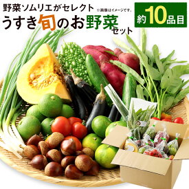 【ふるさと納税】野菜ソムリエがセレクト!「うすき旬のお野菜セット」 約10品目レシピ付き ほんまもん農産物 野菜 果物 お任せ 詰め合わせ 九州産 大分県 臼杵市産 送料無料