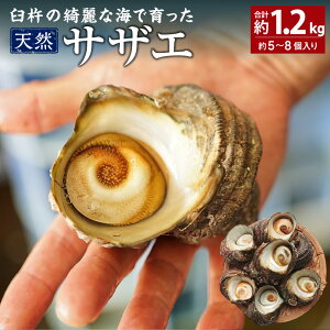 yӂ邳Ɣ[ŁzPnYȊCň VRTUG v1.2kg 5`8 Yn   VN Yi Y hg ڏĂ  
