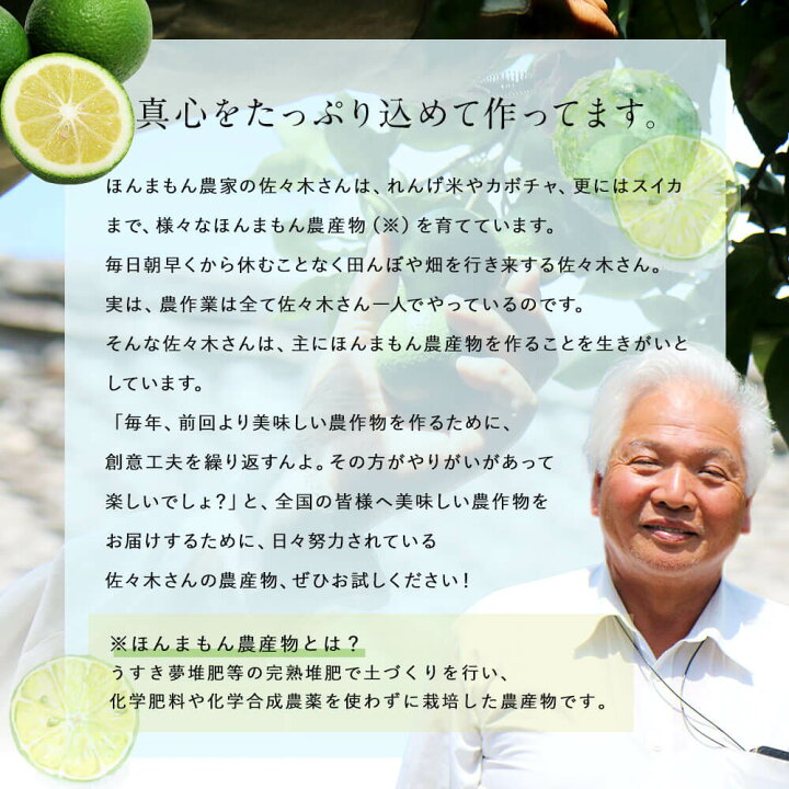 楽天市場 ふるさと納税 種なし 小種 カボス 約2kg 25個 種無し かぼす 果物 フルーツ 料理 柑橘 九州産 大分県産 国産 送料無料 大分県臼杵市 楽天市場 ふるさと納税 種なし 小種 カボス 約2kg 25個 種無し かぼす 果物 フルーツ 料理 柑橘 九州産 大分県産 国産 送料無料 大分県臼杵市