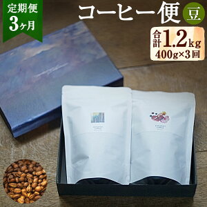 yӂ邳Ɣ[Łzy 3FzXYĩR[q[ ^Cv v1.2kg 200g×2 v400g 3 R[q[ R[q[  蓤 uh uhR[q[ XyVeBR[q[