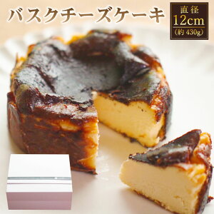 yӂ邳Ɣ[Łzfނɂ oXN`[YP[L a12cm 430g×1 4 `[Y P[L z[ fU[g َq mَq XC[c Y Ⓚ 