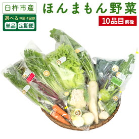 【ふるさと納税】【選べるお届け回数 1回 3回 6回 12回】ほんまもん野菜 10品目前後 単品 または 定期便 野菜 セット 詰め合わせ 旬 栽培期間中化学合成農薬・化学肥料不使用 臼杵市産 九州産 国産 送料無料
