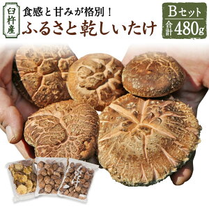 yӂ邳Ɣ[ŁzPnY ӂ邳  BZbgiv480gj3 ǂ  ǂ ő  VC^P ̂  ؍͔| Yn Y BY 啪 Pns 