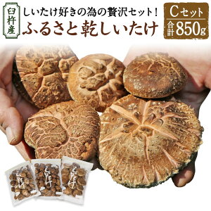yӂ邳Ɣ[ŁzPnY ӂ邳  CZbgiv850gj3 ǂ   ő  VC^P ̂  ؍͔| Yn Y BY 啪 Pns 
