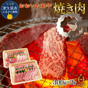 yӂ邳Ɣ[Łza ē 300g / 600g a L㋍ Y Ԑg Ă 啪Y BY Ëvs Y 